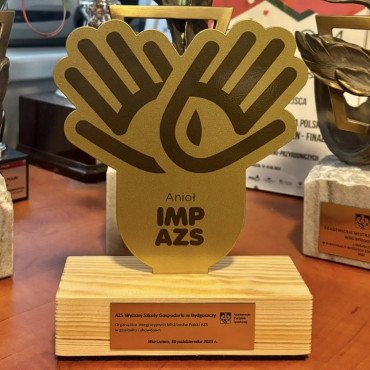 Kolejny sportowy sukces WSG!