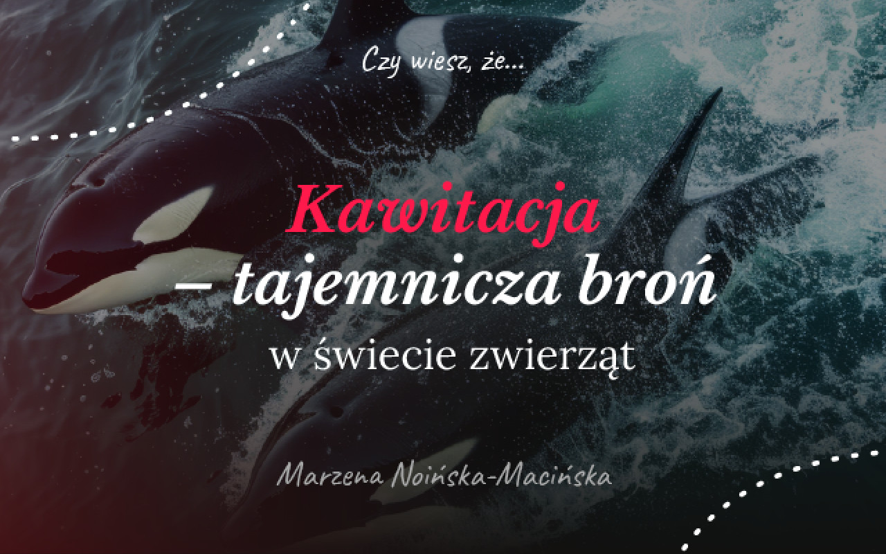 Kawitacja - tajemnicza broń w świecie zwierząt